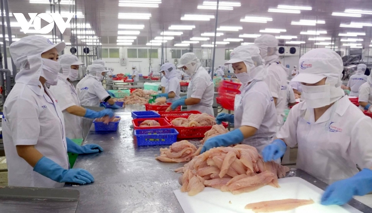 Positive signs ahead for Vietnamese pangasius exports to US, China